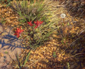 StdyLandscapeWishWithMorning