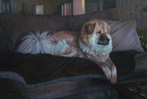 AnimalSilverBoyDante