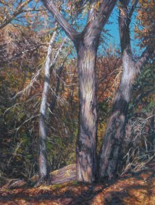 StdyLandscapeAutumnThicket