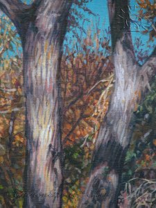 StdyLandscapeAutumnThicketDet1