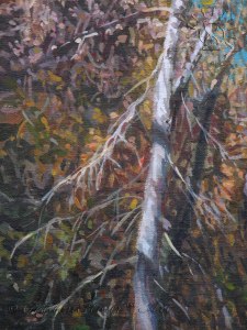 StdyLandscapeAutumnThicketDet2