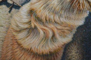 canine-overview-det2-2000