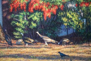 MorningMigration_Det2